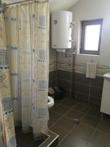 Apartamentos Pansion Velickovic