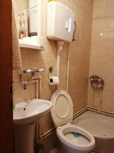 Apartamentos Pansion Velickovic