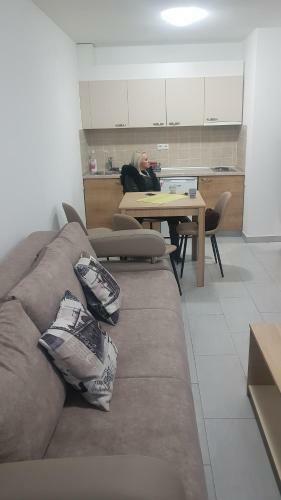Apartment Ruzmici