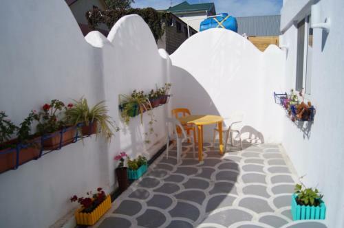 Posada Magnolia 2