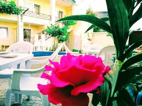 Hostal Briz Guest House