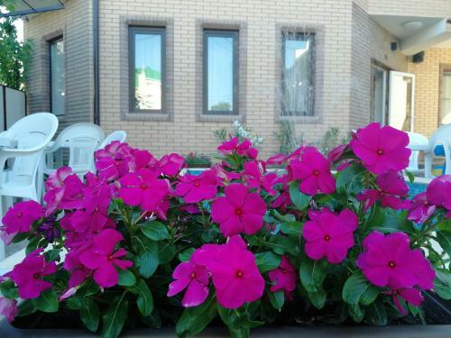 Hostal Briz Guest House