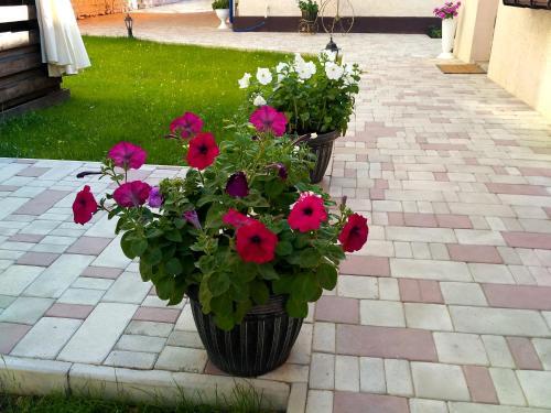 Hostal Guest House On Azovskaya 21