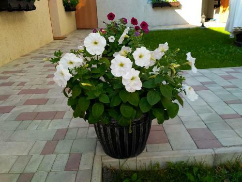 Hostal Guest House On Azovskaya 21