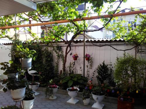 Posada Guest House U Vodopada