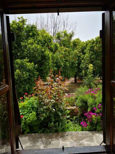 Apartamento Spanos House