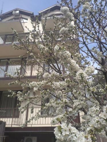 Hostal Guest House Lukomorye
