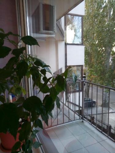 Hostal Guest House Lukomorye