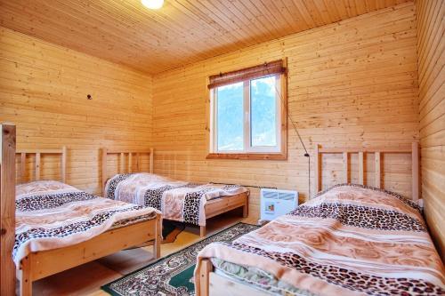 Hostal Guest House Berloga09