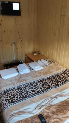 Hostal Guest House Berloga09