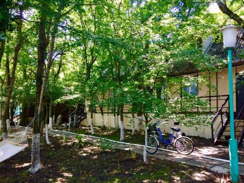 Hostal Guesthouse Irina