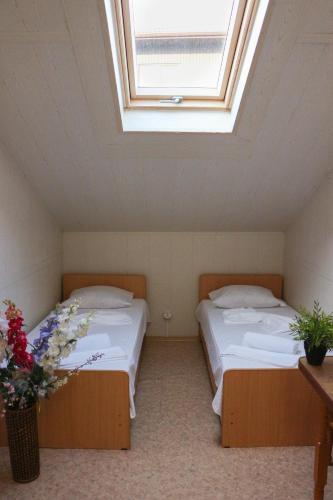 Hostal Argo Guest House