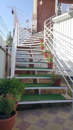 Hostal Guest House Leto