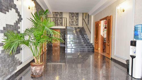 Hostal Petra