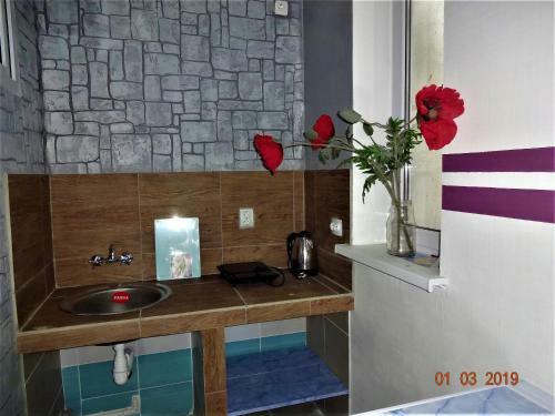 Hostal Guest House Azovsafari