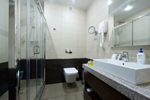 Metelitsa Hotel