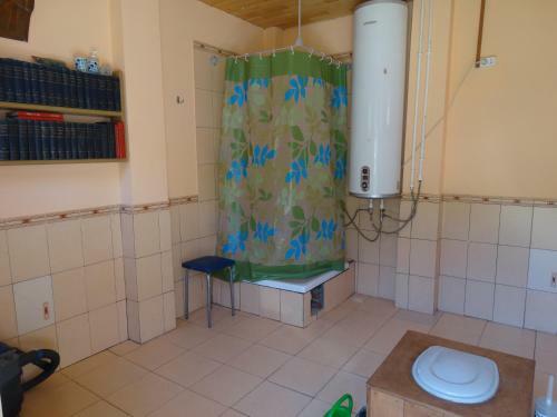 Albergue ?????? "??????"