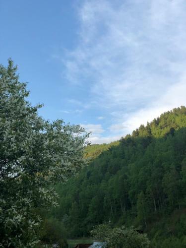 Hostal Baykalskaya Taiga Guesthouse