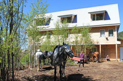 Hostal Obitayemiy Ostrov