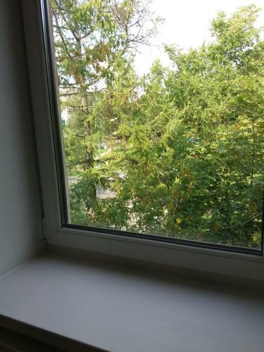 Bed & Breakfast Rooms In Pesochnyi Near Nii