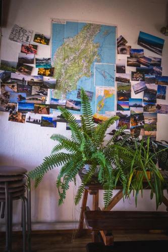 Albergue The House