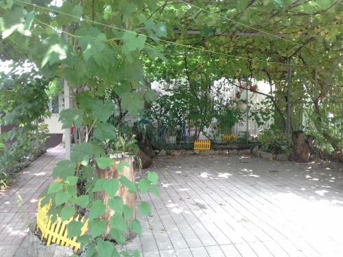 Apartamento ??????-???????????