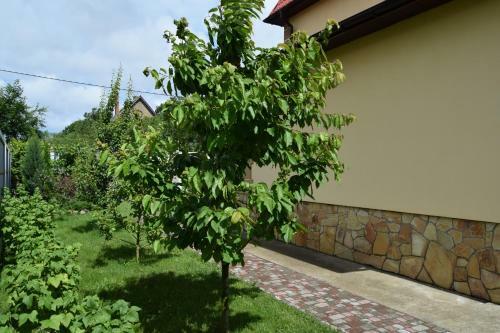 Hostal Usadba V Kamishakh