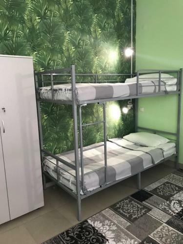Green Hostel