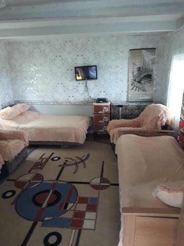 Yurt Camping