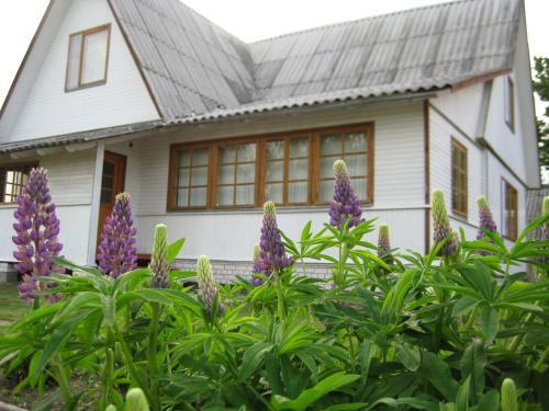 Holiday Home On Sloboda Village 25a