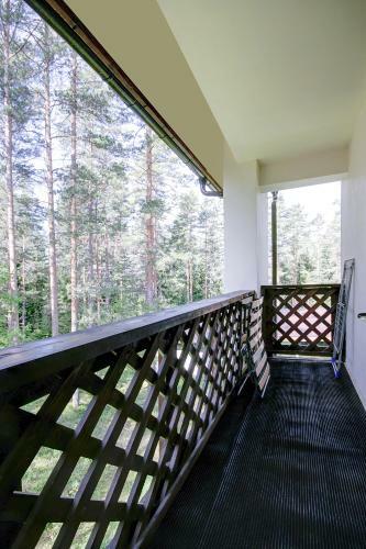 Hotel Pansionat Severnoye Siyaniye