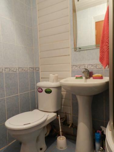 Apartment Yuliya On Kresteckaya 18/14