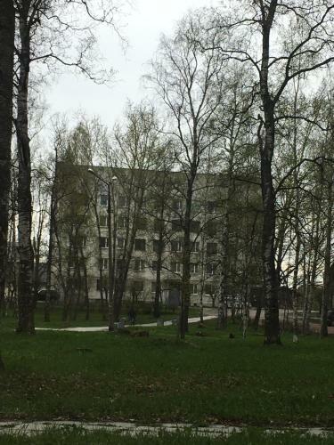 Apartment On Sovetskaya 19