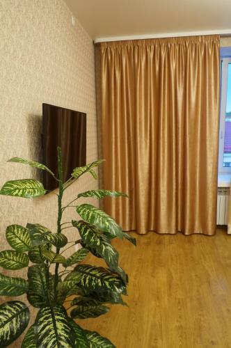 Apartments In Historical Centre