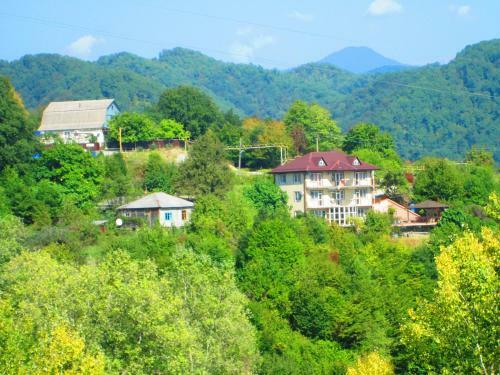 Hostal U Olgi Guest House