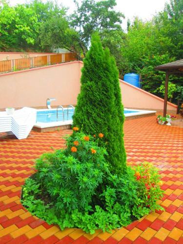 Hostal U Olgi Guest House