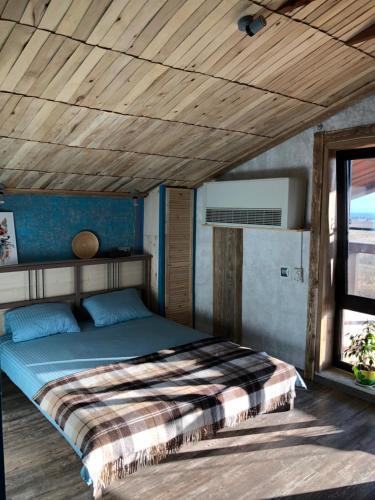 Hostal Free???