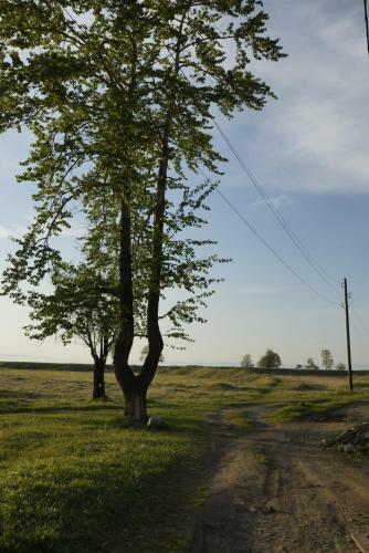 Hostal Guest House Nadezhda