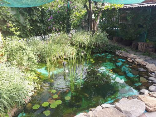 Hostal Guest House Bober