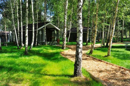 Campground Zavidovo