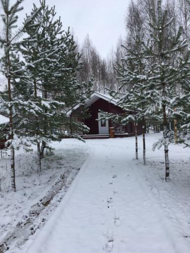 Campground Zavidovo