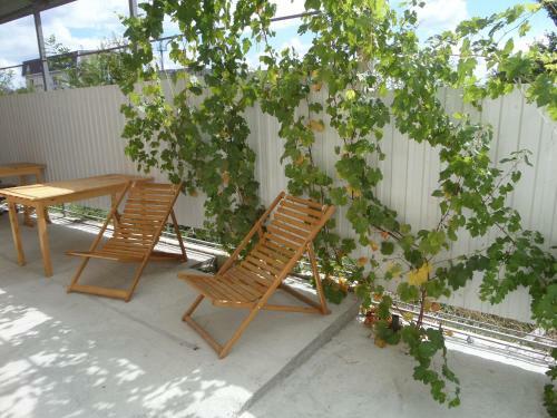 Hostal Guesthouse Viktoria