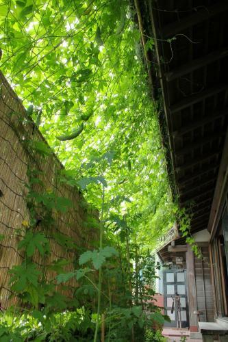 Albergue Guest House Kamejikan