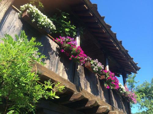 Hostal Stefanina Guesthouse