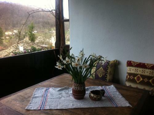 Hostal Stefanina Guesthouse