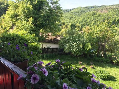 Hostal Stefanina Guesthouse