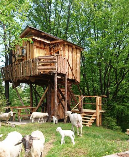 Hostal Chalets Toplak