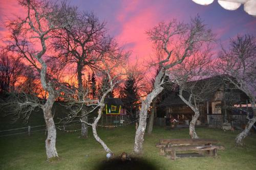 Hostal Chalets Toplak