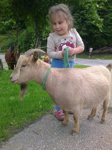 Hostal Guesthouse Kau?i?