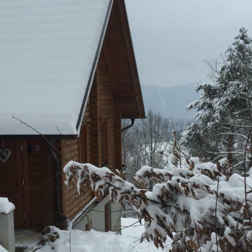 Lodge Romantic Cottage House